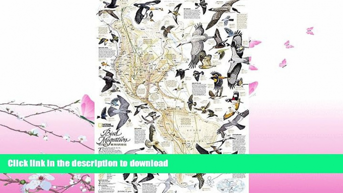 FAVORITE BOOK  Bird Migration, Western Hemisphere [Tubed] (National Geographic Reference Map)