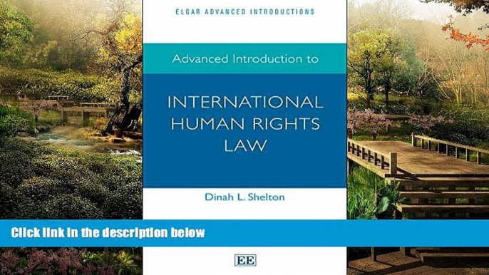 READ FULL  Advanced Introduction to International Human Rights Law (Elgar Advanced Introductions