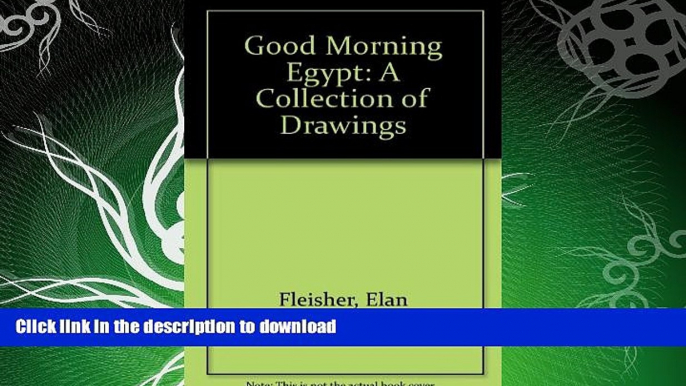 GET PDF  Good Morning Egypt: A Collection of Drawings  BOOK ONLINE