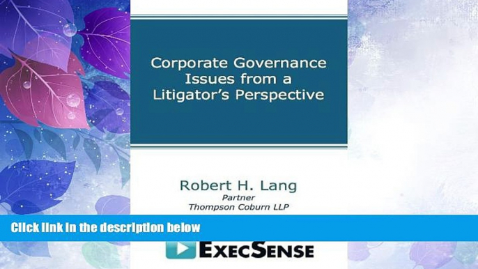 Big Deals  Corporate Governance Issues from a Litigator s Perspective  Best Seller Books Most Wanted