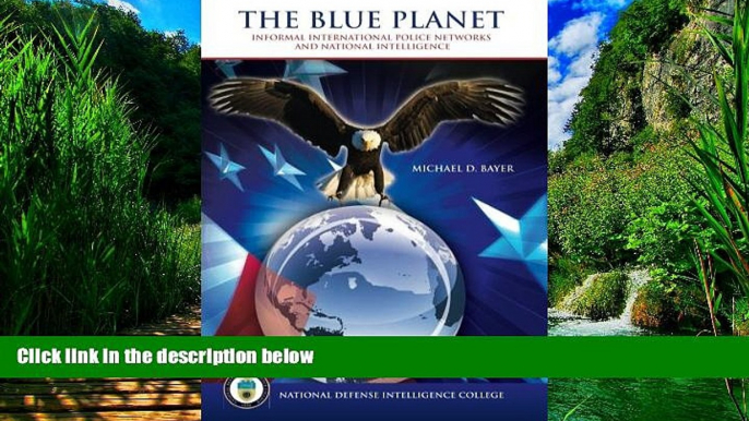 Big Deals  The Blue Planet: Informal International Police Networks and National Intelligence  Full