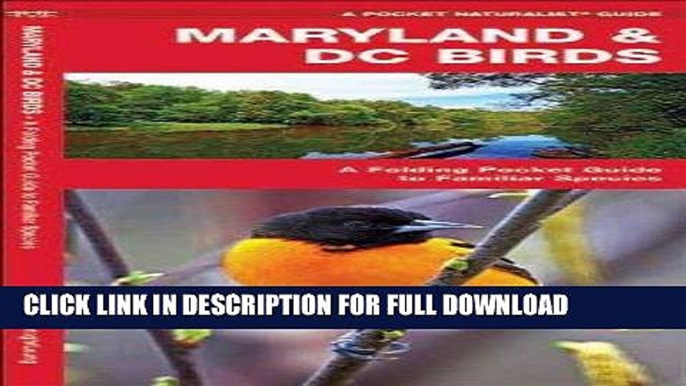 [New] Ebook Maryland   DC Birds: A Folding Pocket Guide to Familiar Species (Pocket Naturalist