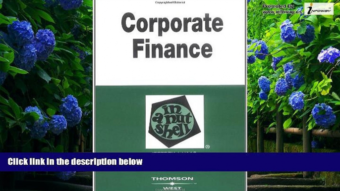 Big Deals  Corporate Finance in a Nutshell (Nutshell Series)  Full Ebooks Best Seller