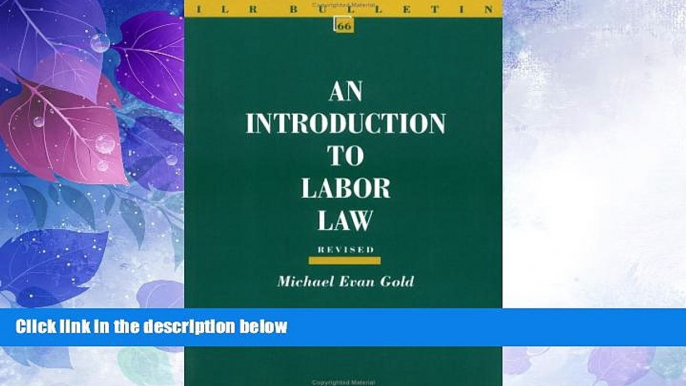 Big Deals  An Introduction to Labor Law (ILR Bulletin)  Best Seller Books Best Seller