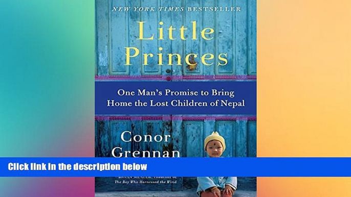 READ FULL  Little Princes: One Man s Promise to Bring Home the Lost Children of Nepal  READ Ebook
