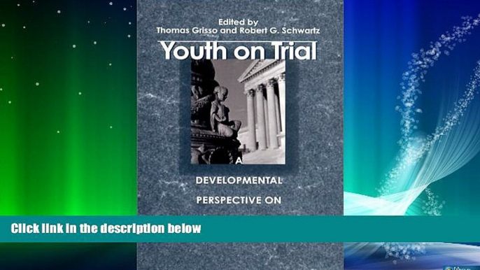 Books to Read  Youth on Trial: A Developmental Perspective on Juvenile Justice (The John D. and