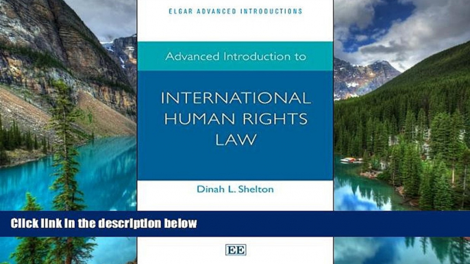 Must Have  Advanced Introduction to International Human Rights Law (Elgar Advanced Introductions