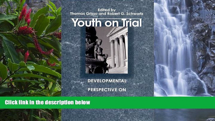 Big Deals  Youth on Trial: A Developmental Perspective on Juvenile Justice (The John D. and