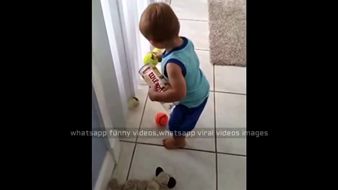 try not to laugh - whatsapp funny videos 2016 baby gathering tennis balls funny clips