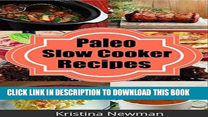 Ebook Paleo Slow Cooker Recipes:  Easy, Healthy, and Delicious Gluten-Free Paleo Crockpot Recipes