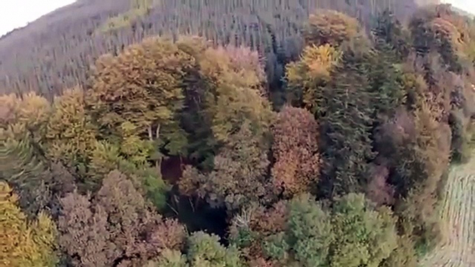 Mysterious Celtic cross discovered in Irish forest