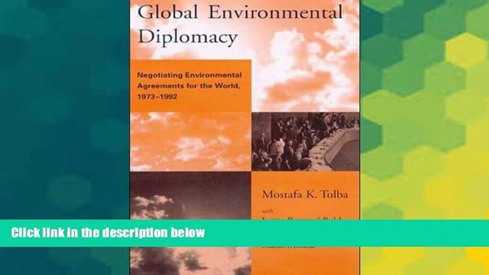 Must Have  Global Environmental Diplomacy: Negotiating Environmental Agreements for the World,