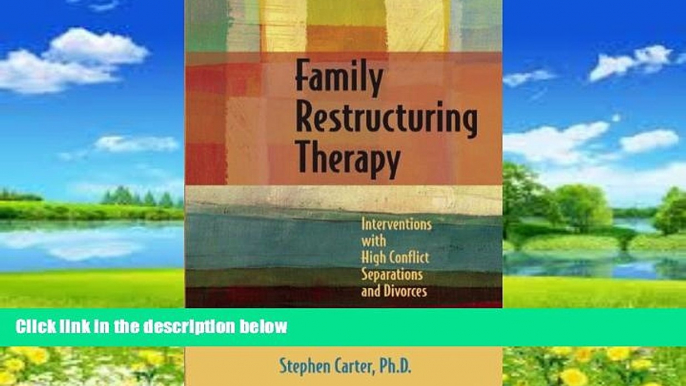 Books to Read  Family Restructuring Therapy: Interventions with High Conflict Separations and