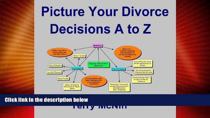 Big Deals  Picture Your Divorce Decisions A to Z  Full Read Best Seller