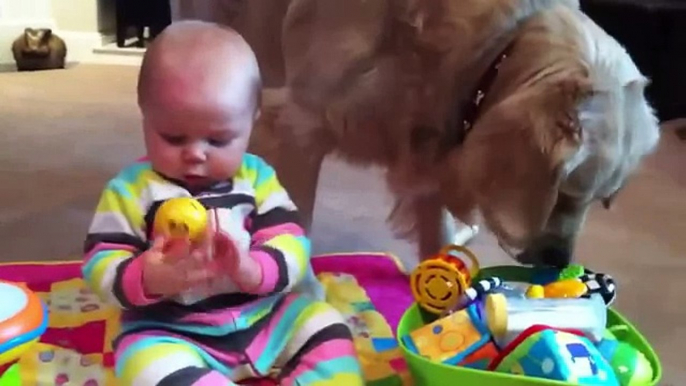 Perro Y Bebe Comparten Juguetes! â˜… bebes divertidos   risa bebe   bebe humor   bebes chistosos