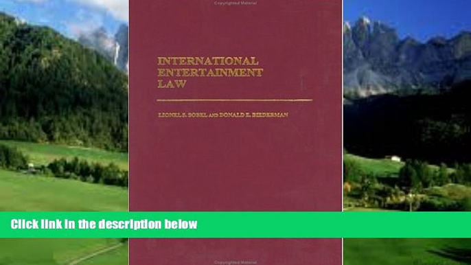Big Deals  International Entertainment Law  Full Ebooks Most Wanted