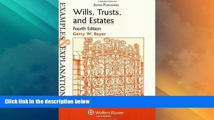 Big Deals  Wills, Trusts, and Estates Examples   Explanations  Full Read Best Seller