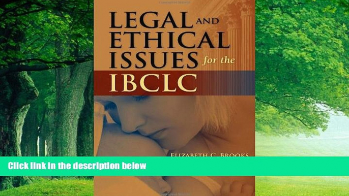 Big Deals  Legal And Ethical Issues For The IBCLC  Best Seller Books Best Seller