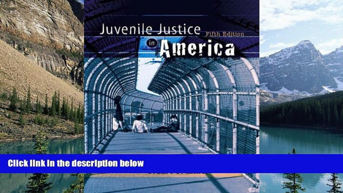 Big Deals  Juvenile Justice in America Value Package (includes Voices in the Juvenile Justice