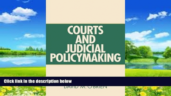 Books to Read  Courts and Judicial Policymaking  Best Seller Books Most Wanted