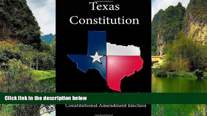 Deals in Books  Texas Constitution (Includes Amendments Through The November 3, 2009,