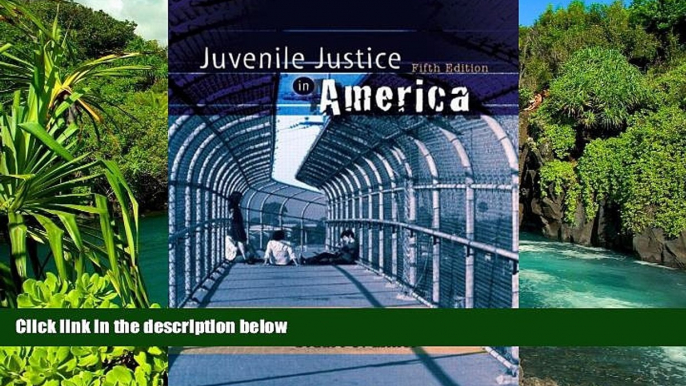 Full [PDF]  Juvenile Justice in America Value Package (includes Voices in the Juvenile Justice