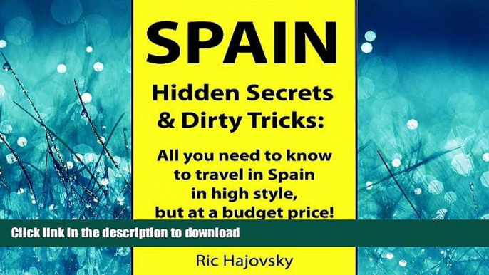 FAVORIT BOOK Spain: Hidden Secrets   Dirty Tricks; all you need to know to travel in Spain in high