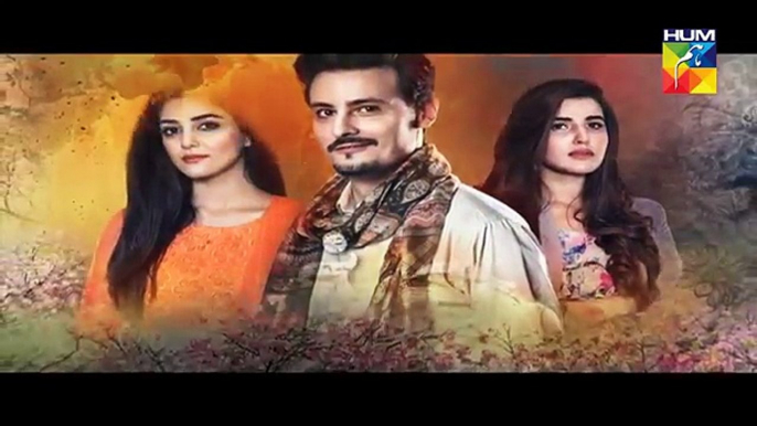 Sanam - Episode 9 Promo HD HUM TV Drama 31 October 2016