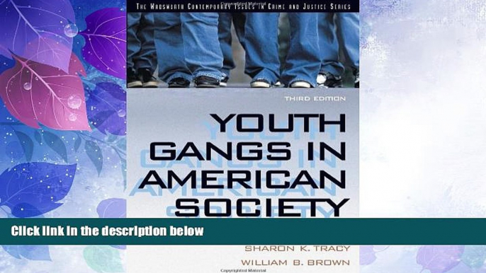 Big Deals  Youth Gangs in American Society (Contemporary Issues in Crime and Justice Series)  Best