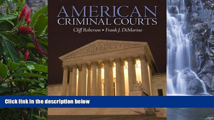 Big Deals  American Criminal Courts  Best Seller Books Most Wanted