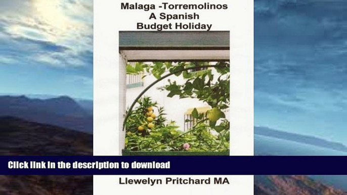 READ BOOK  Malaga -Torremolinos A Spanish Budget Holiday (The Illustrated Diaries of Llewelyn