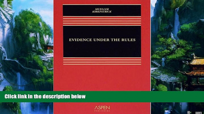 Big Deals  Evidence Under the Rules  Best Seller Books Best Seller