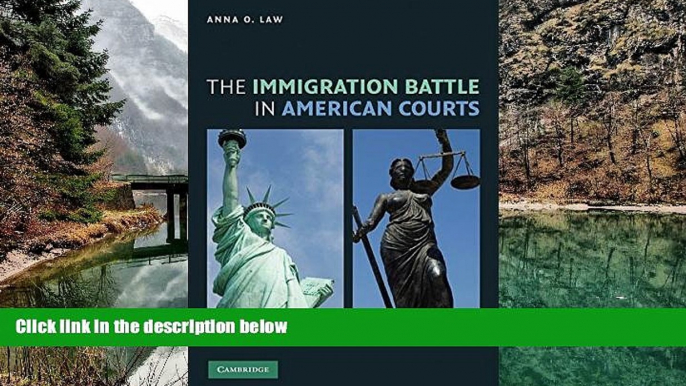 Big Deals  The Immigration Battle in American Courts  Full Read Best Seller