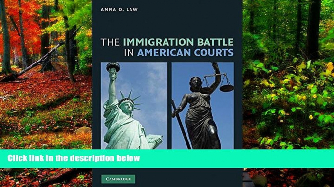 Big Deals  The Immigration Battle in American Courts  Full Read Best Seller