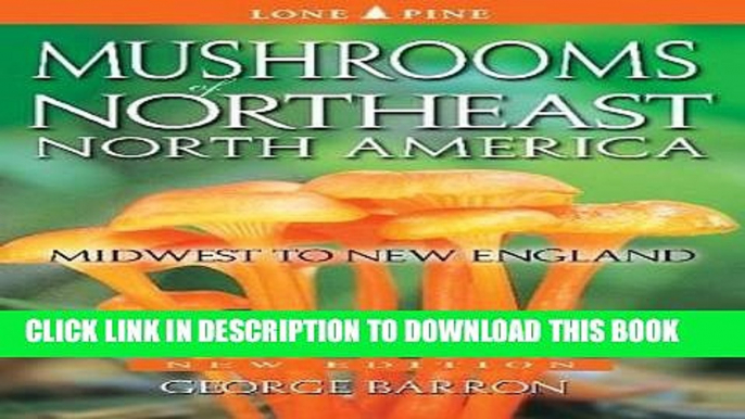 [New] Ebook Mushrooms of Northeast North America: Midwest to New England Free Online