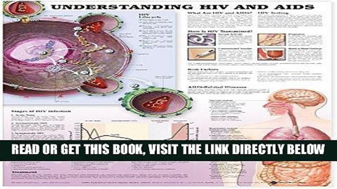 [FREE] EBOOK Understanding HIV and AIDS Anatomical Chart in Spanish (Entendiendo Que Son el VIH y