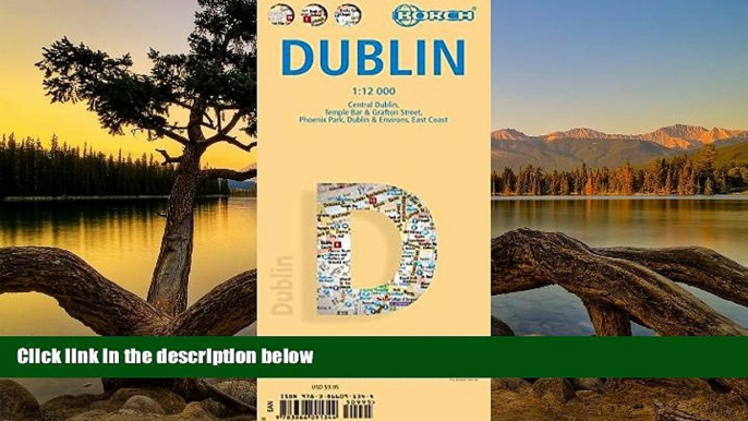 Big Deals  Laminated Dublin Map by Borch (English, Spanish, French, Italian and German Edition)