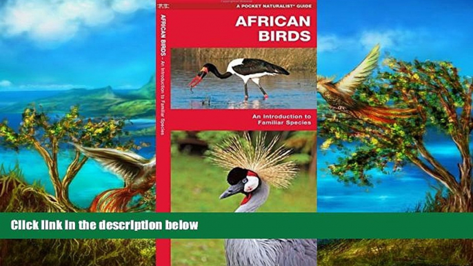 Big Deals  African Birds: A Folding Pocket Guide to Familiar Species (Pocket Naturalist Guide