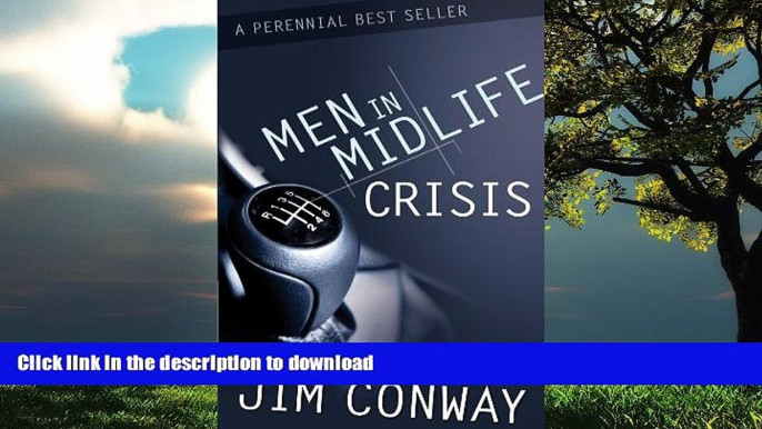 Read book  Men in Midlife Crisis online