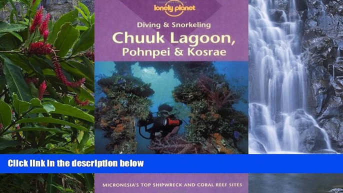 Big Deals  Diving   Snorkeling Chuuk Lagoon, Pohnpei   Kosrae (Lonely Planet Diving and Snorkeling