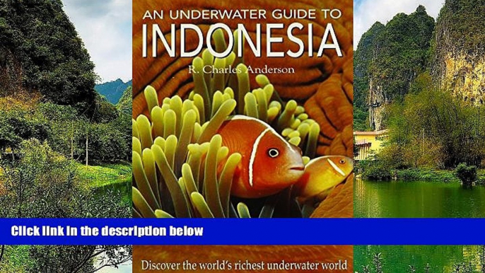 Big Deals  An Underwater Guide to Indonesia  Full Read Best Seller