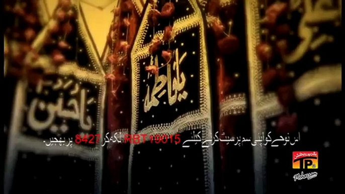 Irfan Haider Nohay 2017 Title Kalaam Haza Min Karam e Hussain (a.s) ibne Ali (a.s) Video Noha