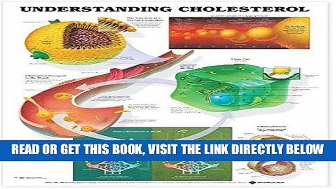 [READ] EBOOK Understanding Cholesterol Anatomical Chart BEST COLLECTION