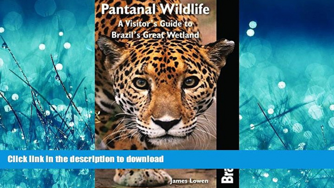 READ BOOK  Pantanal Wildlife: A Visitor s Guide To Brazil s Great Wetland (Bradt Wildlife Guides)