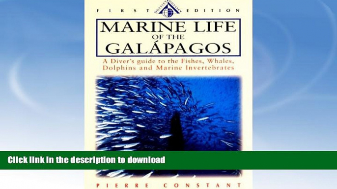 FAVORITE BOOK  Marine Life of the Galapagos: A Diver s Guide to the Fishes, Whales, Dolphins and