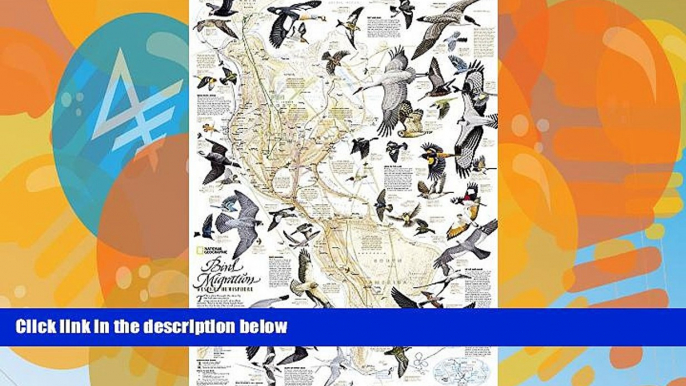 Big Deals  Bird Migration, Western Hemisphere [Tubed] (National Geographic Reference Map)  Full