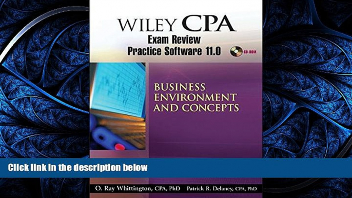 different   Wiley CPA Examination Review Practice Software 11.0 BEC Revised