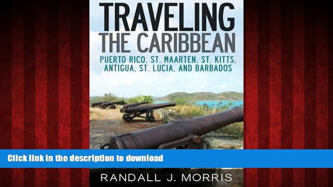 FAVORIT BOOK Traveling the Caribbean: Puerto Rico, St. Maarten, St. Kitts, Antigua, St. Lucia, and