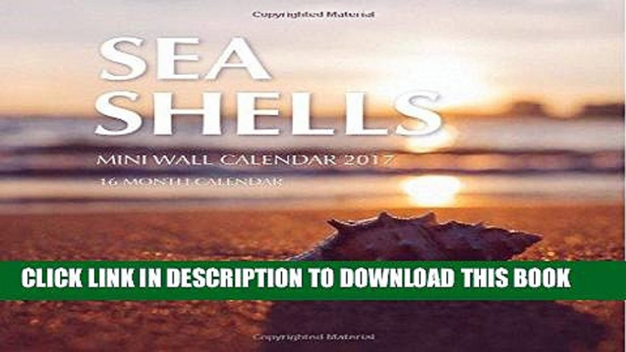 Best Seller Sea Shells Mini Wall Calendar 2017: 16 Month Calendar Free Read