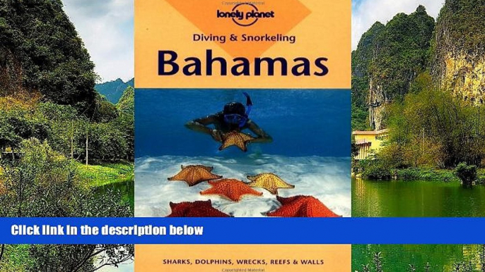 Deals in Books  Lonely Planet Diving   Snorkeling Bahamas (Diving and Snorkeling Guides)  Premium